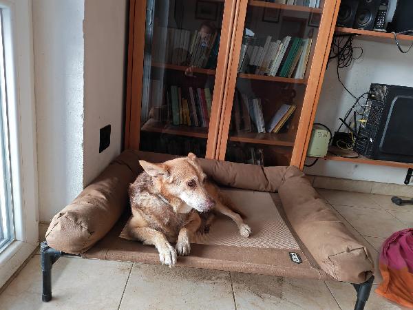 Gelbie tenera nonnina cerca casa  Foto 6